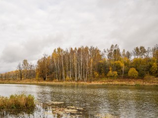 Перевернулась лодка: спасателей привлекли к устранению последствий происшествия на воде в Подмосковье