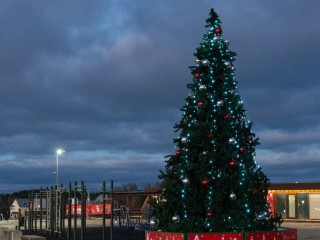 От елок в Подмосковье до сияющего центра: новогоднее волшебство приходит в столичный регион