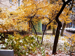 Морозы до минус 5 градусов, а потом резкое потепление: синоптики предупредили о новых погодных аномалиях в Подмосковье