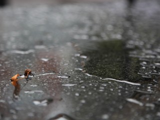 Горячее водоснабжение в жилых домах Рабочего поселка восстановят к 14.30