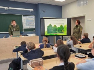 От викторины до творчества: как дети Орехово-Зуевского округа постигали тайны лесного царства