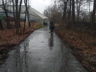 На Трудовой улице привели в порядок дорогу к школе