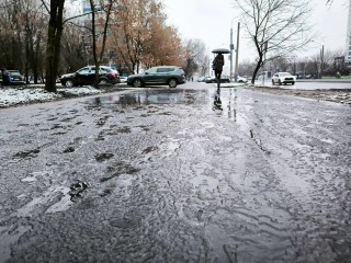 Осенняя сырость и грядущее похолодание: каким будет 28 ноября в Подмосковье