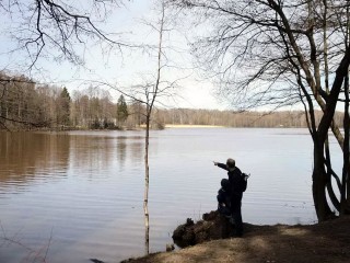 Раскрыты планы реформирования природного парка «Волхонка» в Ногинске