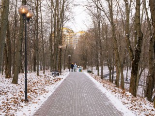 Точную дату прихода в Подмосковье метеорологической зимы предсказал синоптик Тишковец