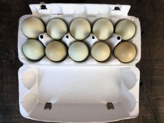 Куриное или перепелиное: какое яйцо выбрать для салата или омлета, расскажет нутрициолог