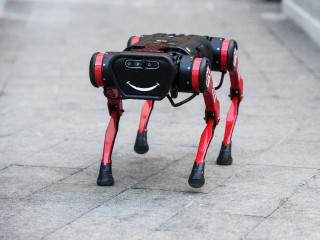 Щенячий патруль: робособаки будут следить за исправностью поездов