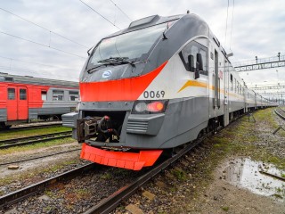 Виновата собака-беглец: железнодорожный перевозчик ужесточил правила перевозки животных