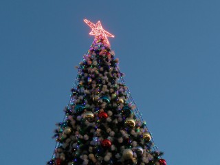 В Кашире-3 засияла первая новогодняя ель: как готовят город к праздникам