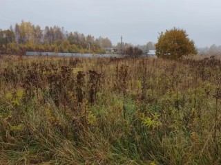 Самый бюджетный лот недели: как в поселке Уваровка участок в 12,5 соток ушел в аренду всего за ₽45 тыс. в год