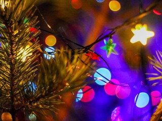 День рождения Деда Мороза: Праздник переносится на 19 ноября