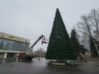 Волшебство начинается: в Луховицах установили 16‑метровую елку, которая скоро засияет во всей красе