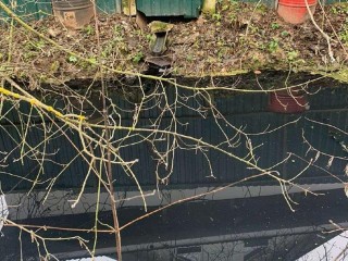 Жалоба жителей сработала: проверка в Волоколамском округе выявила незаконный отвод стоков в реку Искона