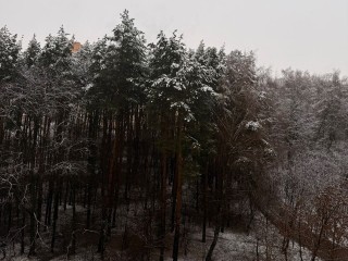 Зимний мороз накрыл Ленинский округ