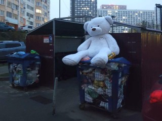 Мягкий, а вдруг – опасный? Жители Мытищ стороной обходят выкинутого на мусорку огромного медведя