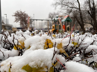 «Процесс запущен»: синоптик объявил о приходе устойчивой зимы в Подмосковье