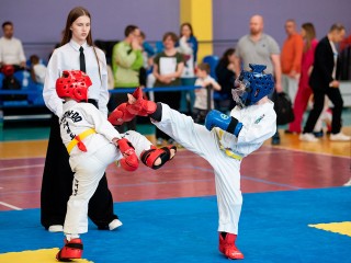 Битва за Подмосковье: ступинский ФОК «Ока» примет областной чемпионат по хапкидо