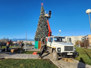 Пятнадцатиметровая красавица: где в Кашире установили первую елку