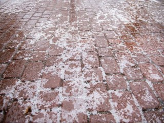 Названа дата первой встречи с зимой и резкого похолодания в Подмосковье