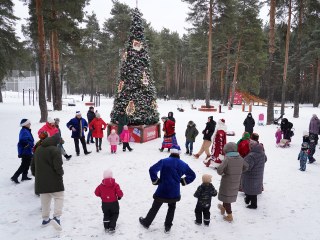 Каток, лыжная трасса и тюбинговые горки будут работать в Кузьминском лесопарке этой зимой