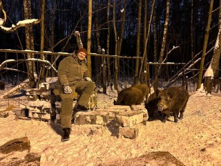 Экологи Мытищ поделились опытом борьбы с выходом кабанов в город