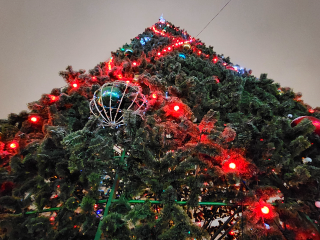 Сердце праздничных торжеств: в парке «Ривьера» нарядили елку на центральной площади