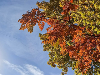 Синоптик Леус сообщил о прорыве атлантического тепла в Подмосковье