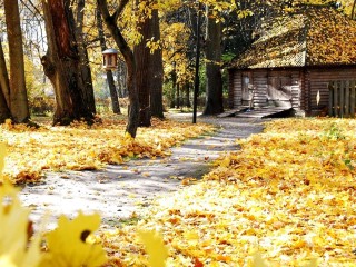 Сводка синоптиков: на неделе с 24 по 30 ноября будет один погожий денек