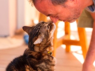 Капля никотина из вейпа убьет вашу кошку и покалечит собаку: ветеринар раскрыл страшную правду