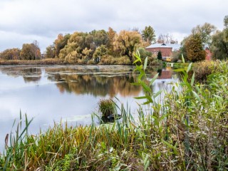 Гриб в небе: что на самом деле увидели жители Лобни