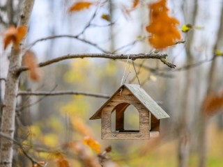 Кормушки для птиц развесят воскресенцы в сквере «Березовая роща»