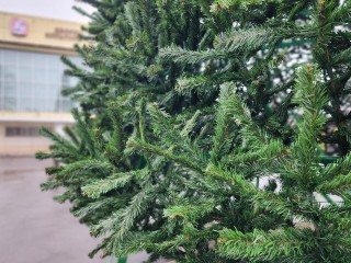 Зима загуляла: какой в Подмосковье будет первая неделя декабря