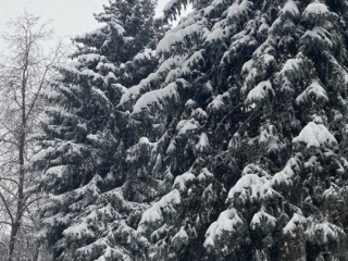 Вильфанд — о «суперхолодной зиме»: какой сезон на самом деле ждет Подмосковье в 2025–2026 годах