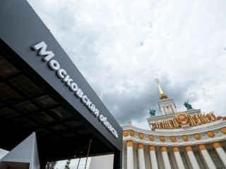 Посмотреть на плесень: в столичном регионе открыли странную выставку