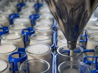 Йогурт без сюрпризов: подмосковные ученые совершили революцию в производстве высококачественных кисломолочных продуктов