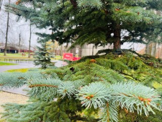 Нарисовать природу и встретиться с любимыми героями сказок: в парках и ДК Талдома 27 ноября будет интересно