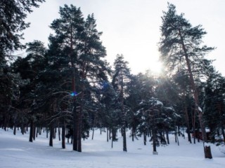 Снег, сугробы и -6: зима в Подмосковье придет уже на следующей неделе