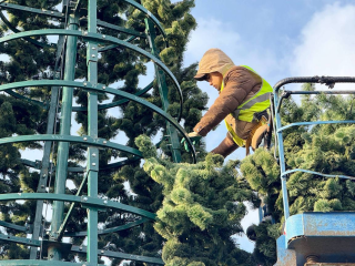 В Подольске начали подготовку к Новому году: 33 елки засияют праздничными огнями