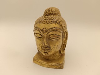 На комплексе по переработке отходов в Солнечногорске нашли трехкилограммовую «голову»