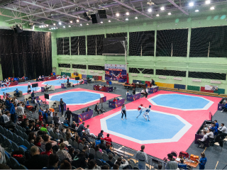 Фрязинские тхэквондисты завоевали две бронзовые медали на всероссийских соревнованиях