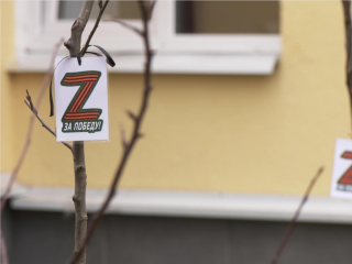 Весной в Дубне «расцветет» память о героях: школьники создали Сад Победы