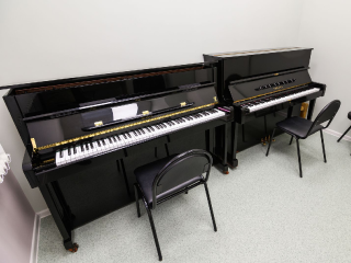 Музыканты сыграли специально для депутата Госдумы в обновленном здании школы в Дубне