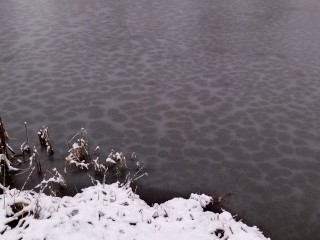 Более 400 егорьевцев высказались в поддержку очистки пруда в Русаках