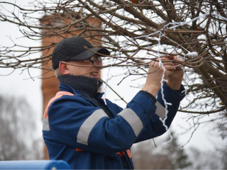 Новогоднее чудо на подходе: какие сюрпризы готовят в Лотошине