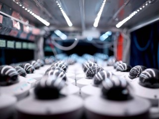 Борьба с лудоманией набирает обороты: депутаты рассмотрят реестр самоисключений и ужесточение наказаний для стримеров