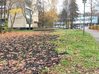 Дворы в Звездном городке привели в порядок после ремонта тепловых сетей