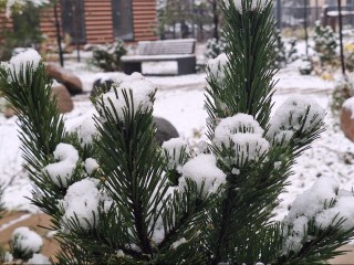 Тишковец предупредил о смене фронтов: погода в Подмосковье резко ухудшится в этот день