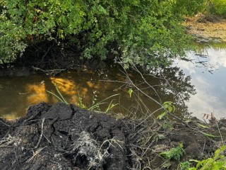 Народный контроль сработал: как жалоба жителей помогла Минэкологии выиграть суд против владельца земли в Балашихе, испортившего береговую линию