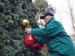 Новогоднюю ель начали наряжать возле торгового центра на улице Мира