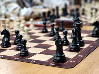 Шахматный турнир, беседы о Родине, игры в парке и экскурсии в музее ждут чеховцев 6 ноября